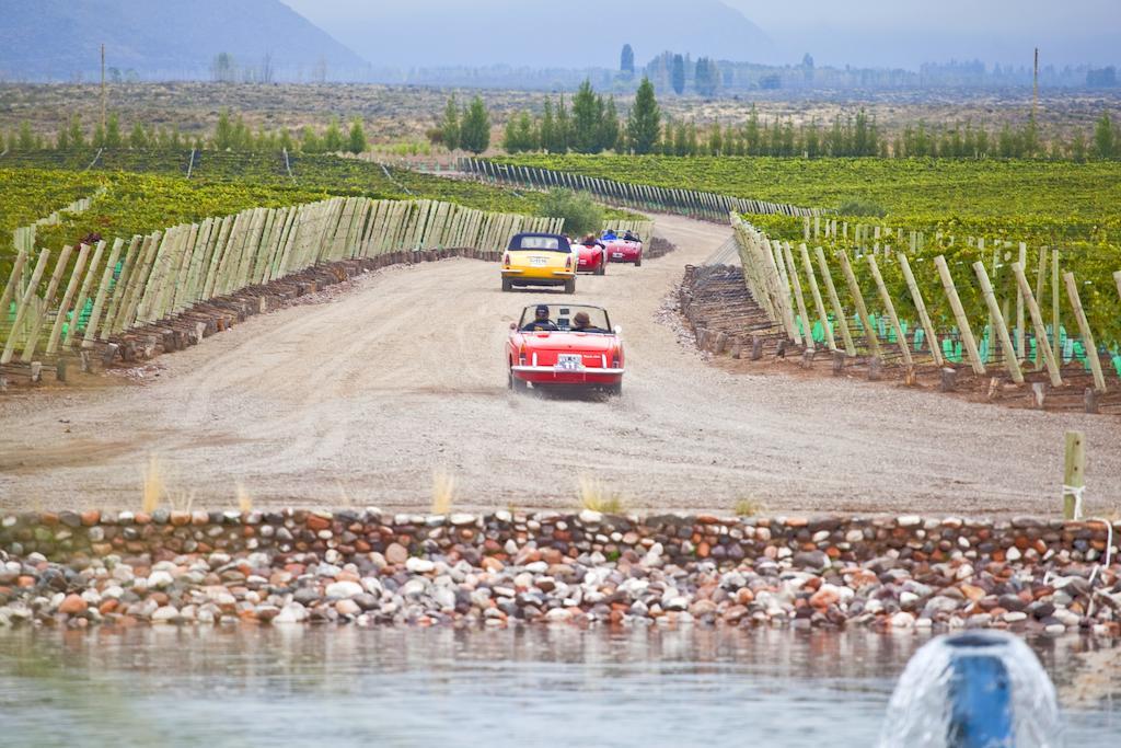 Casa De Uco Vineyards And Wine Los Arboles